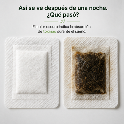 Parche Detox — Despertá con más energía cada día